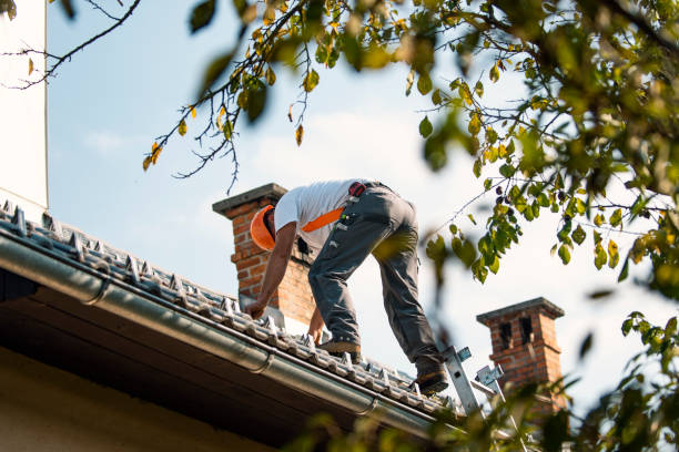 Best Commercial Roofing Services  in Ferndale, MI