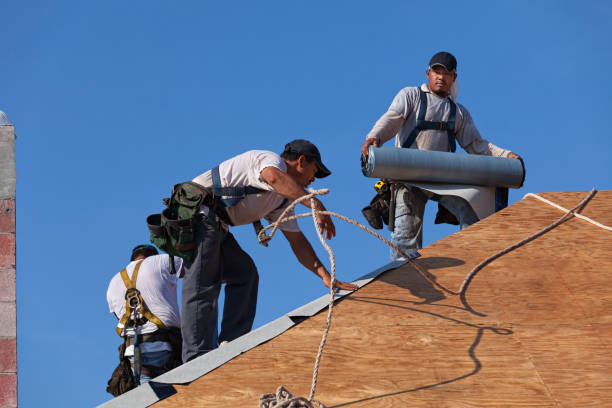 Professional Roofing Contractor in Ferndale, MI
