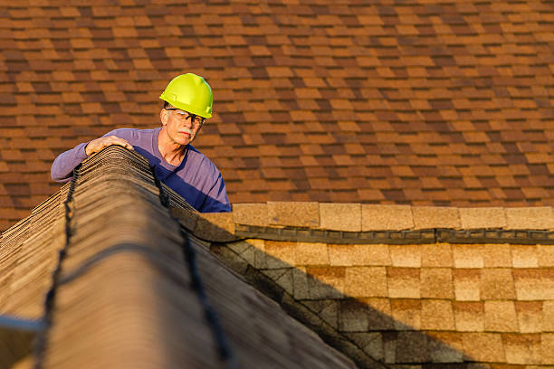 Best Residential Roofing Contractor  in Ferndale, MI