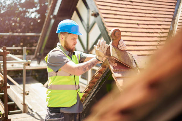 Best Roof Gutter Cleaning  in Ferndale, MI